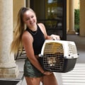 The Importance of Reporting Lost or Found Animals to Animal Rescue Centers in Broward County, Florida