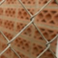 The Importance of Age Restrictions for Adopting Animals from Rescue Centers in Broward County, Florida