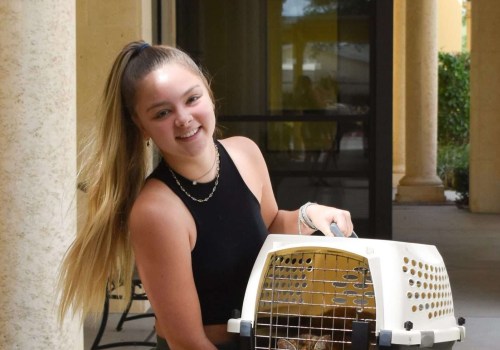 The Importance of Reporting Lost or Found Animals to Animal Rescue Centers in Broward County, Florida